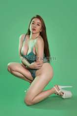 Shemale-TSpaula69-3838586 